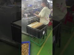 เครื่องเล่นการออกแบบ 3d พลาสติก pvc vinyl เครื่องเล่นการออกแบบ