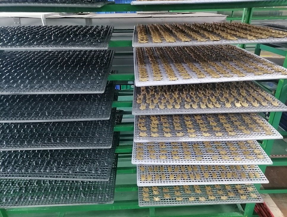 OEM โรงงานสั่งจําลองแบบเหมือนชีวิต แบบจําลองแมลง ของเล่นโรงพยาบาล การเรียนการสอน ของเล่นตลก